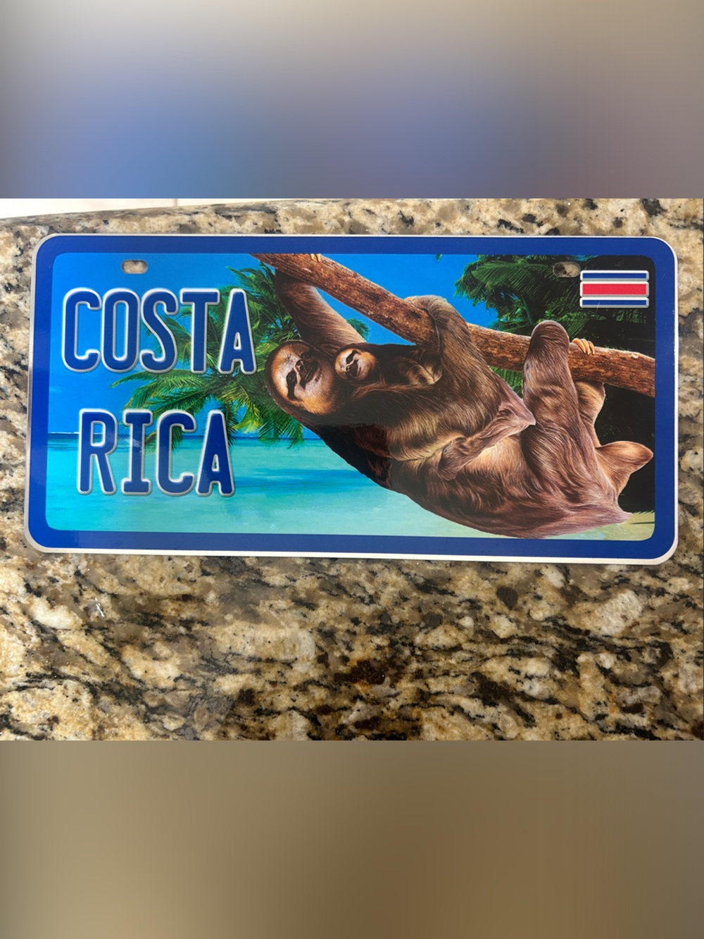 Costa Rica Sloth License Plate Wall Art - Blue